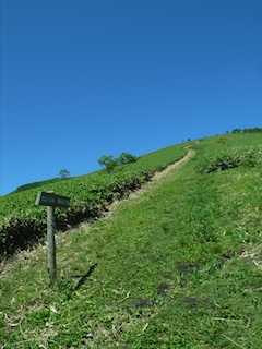 R1063305.jpg