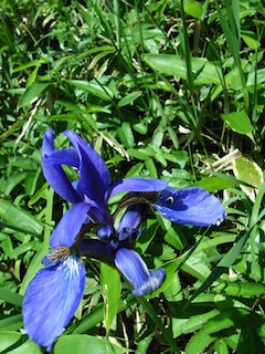 R1063308.jpg