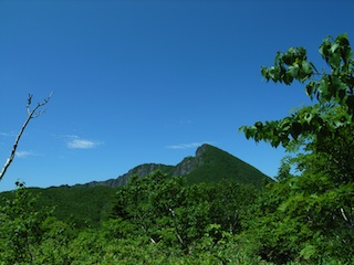R1063317.jpg