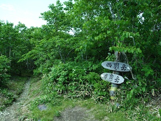 R1063318.jpg