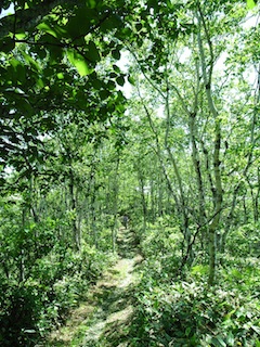 R1063322.jpg