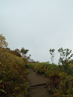 R1063513.jpg