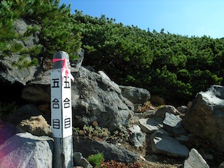 R1063567.jpg