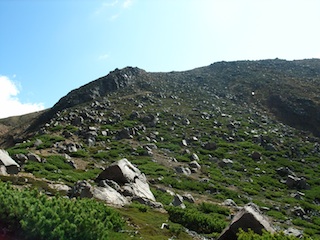 R1063578.jpg